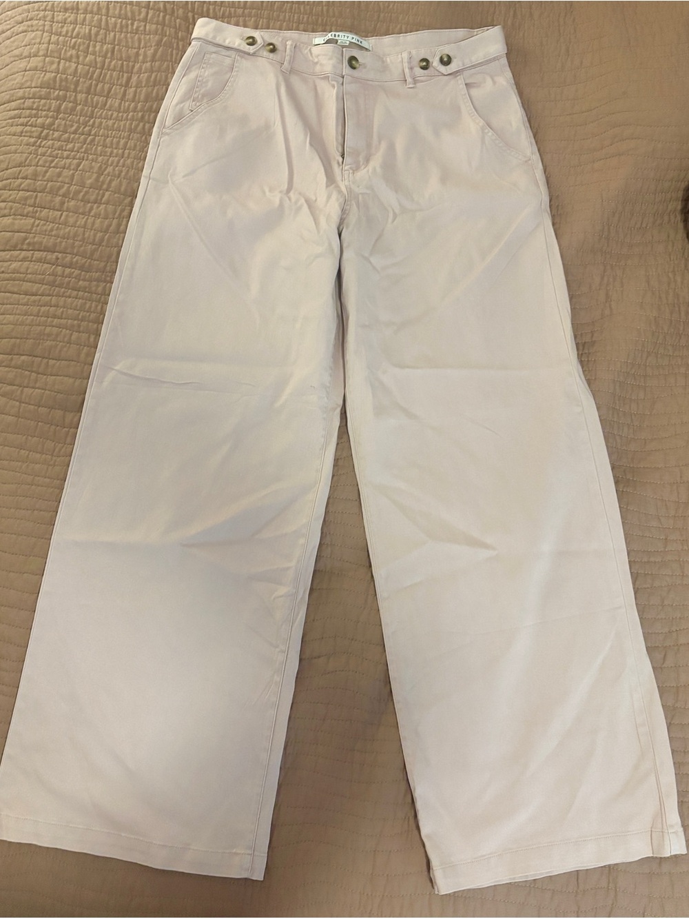 Celebrity Pink Women’s Wide-Leg Chinos — Light Pink — NWOT